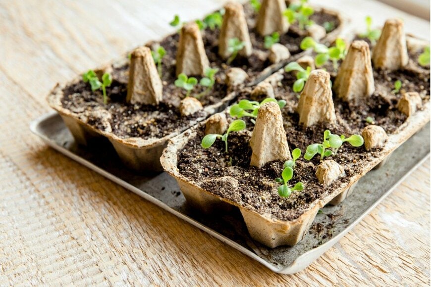 Helin Loik-Tomson/istockphoto.com