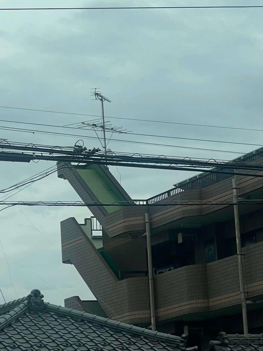 出所：@7nNxrg27PIUFCMS