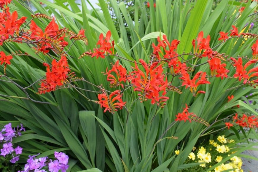 Scott Cummings/shutterstock.com