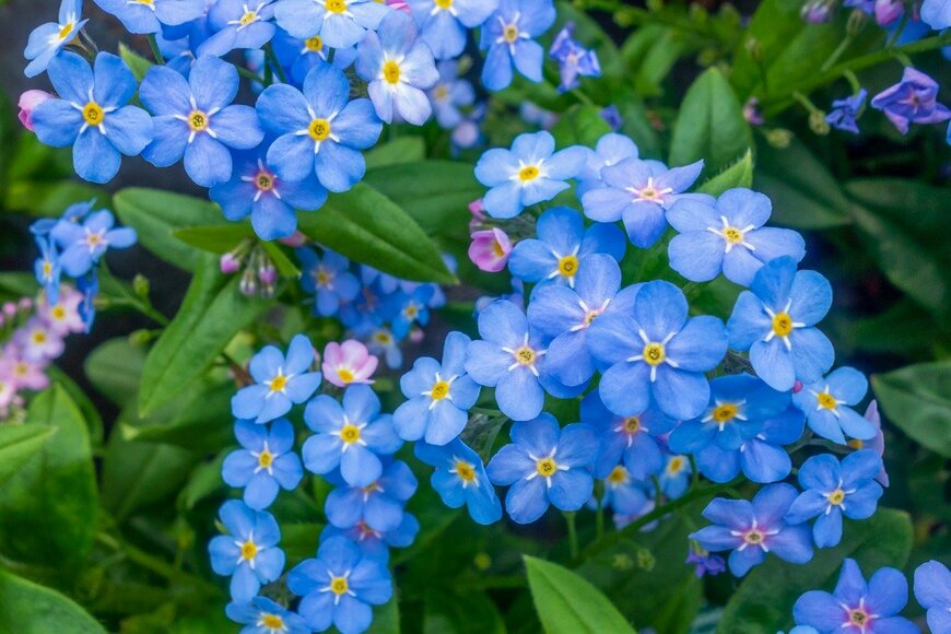 prill/istockphoto.com