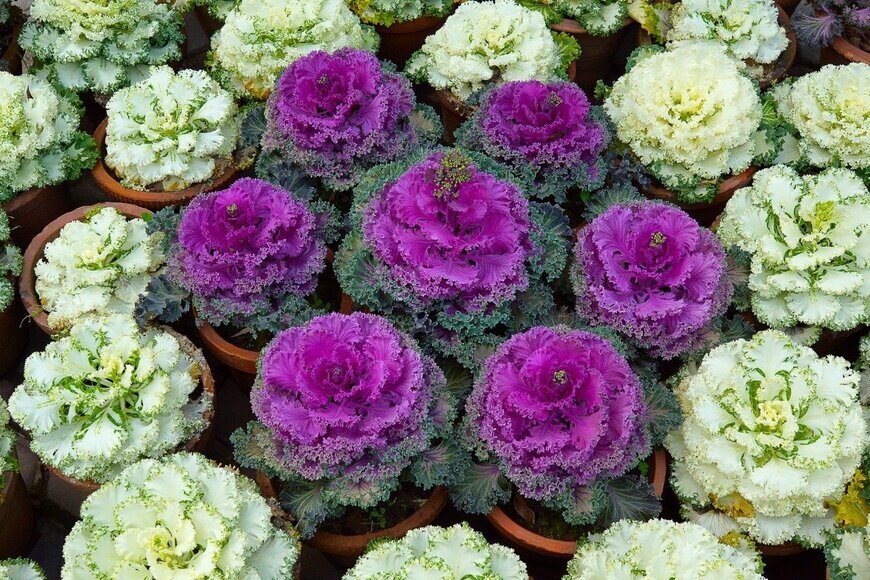 ePhotocorp/istockphoto.com