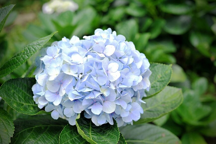 Napatsawan/shutterstock.com