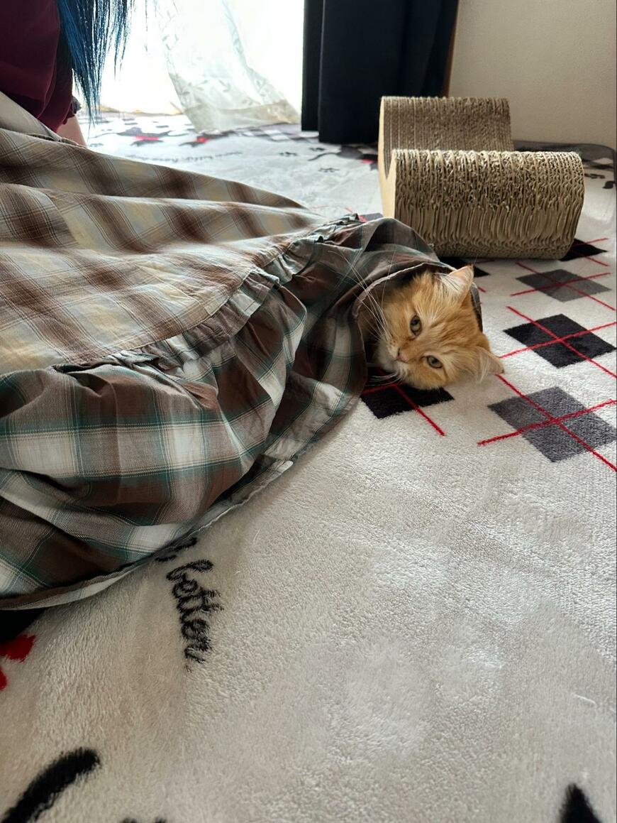 出所：@NEKOLAND13