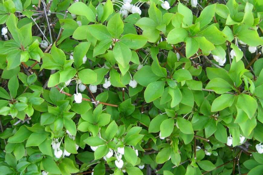 meikoKODAKA/istockphoto.com