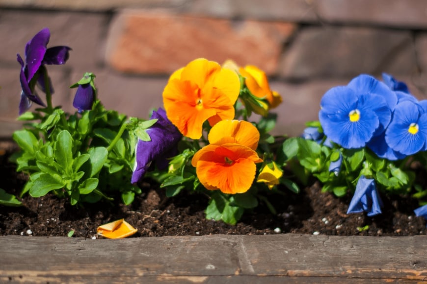 todaydesign/istockphoto.com