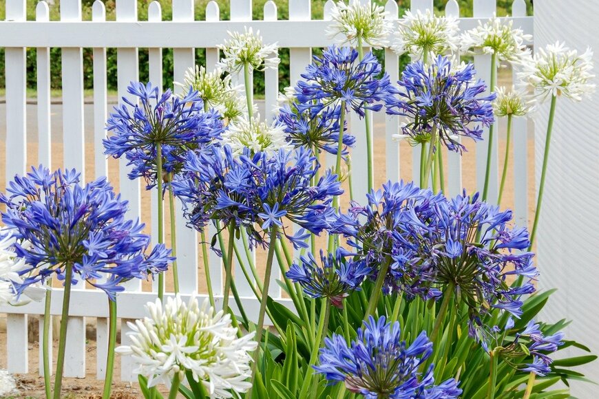 Sabine Hortebusch/istockphoto.com