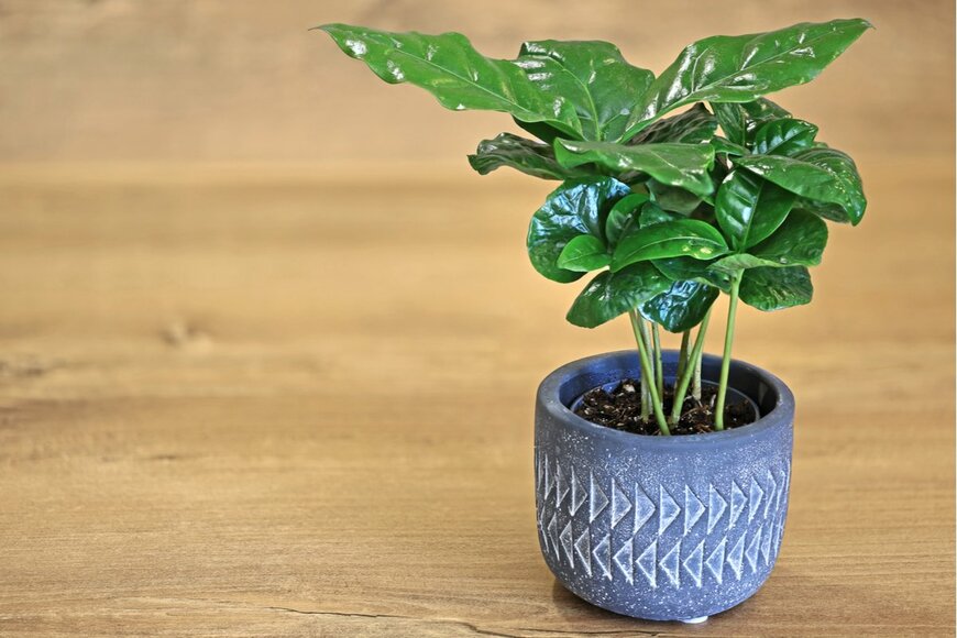 MakroBetz/shutterstock.com