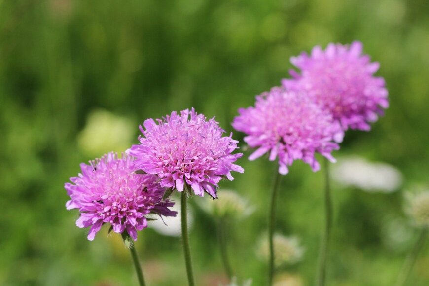 yuelan/istockphoto.com