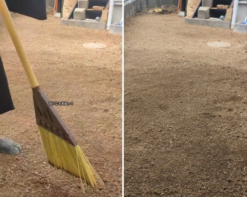 投稿の画像