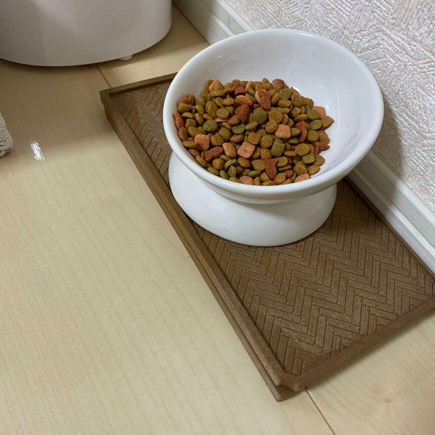 猫のお皿