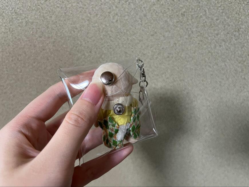 セリア、PVCクリアミニポーチスクエア撮影画像