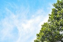 住民税非課税世帯の年収は目安でいくら？手続きは必要？助成や給付金5つ