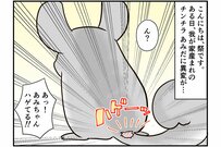 最年少チンチラ、初めての病院へ。ついでにペットシッターも病院デビュー!?【チンチライフ111話】