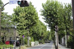 芸能人は東京のどこに住んでいるのか？