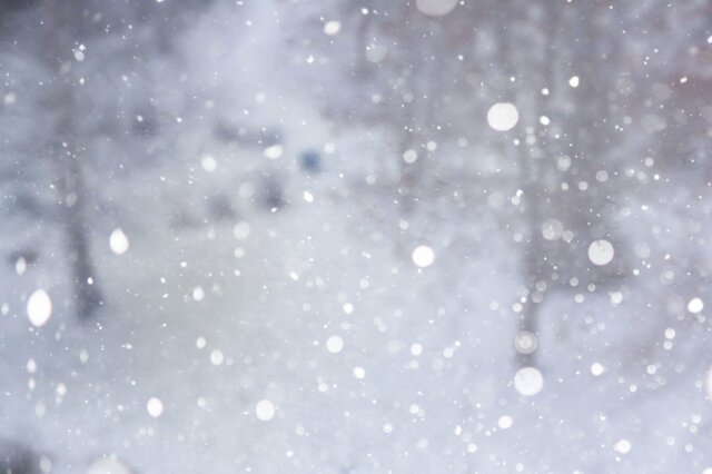 停車中の列車からホームの駅名標を思わず二度見！「きれいに隠れてる」「こんなに雪が積もるんですね」