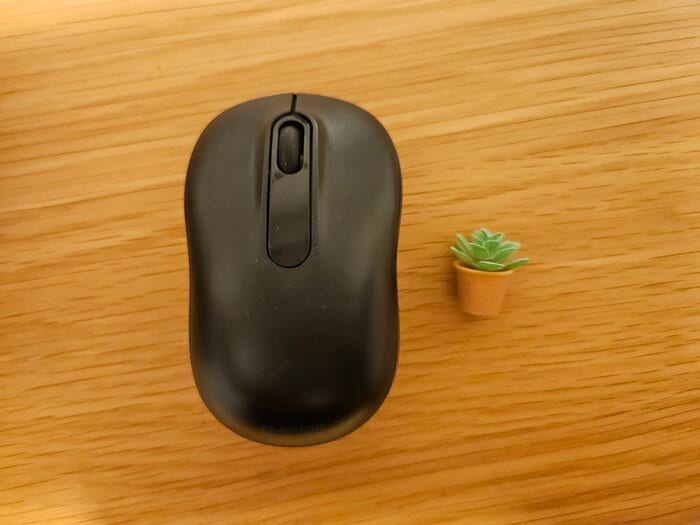 マウスと比べてもこんなに小さいんです!