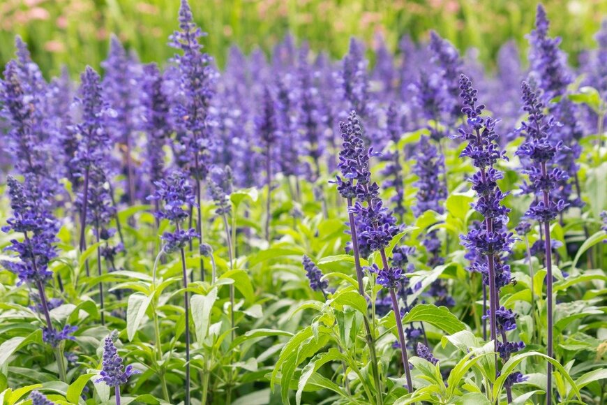 PatrikStedrak/istockphoto.com