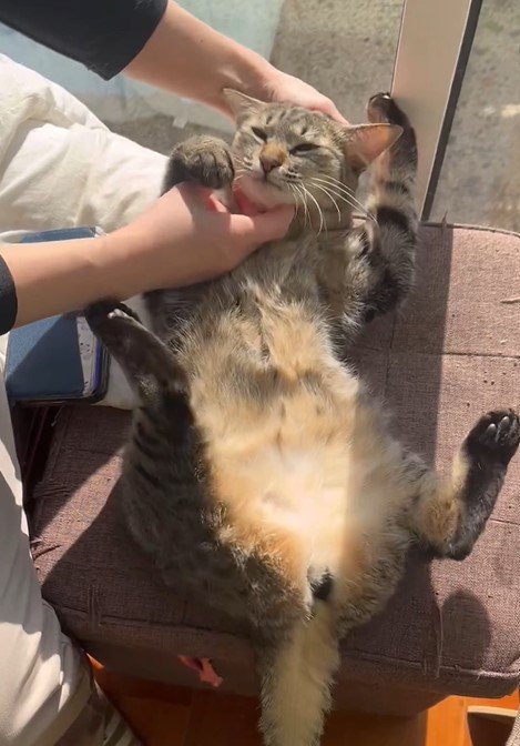 出所：@kagisuzu0531