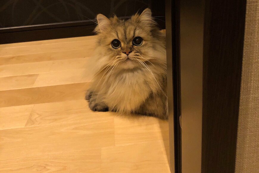 出所：@UphQepCv8J