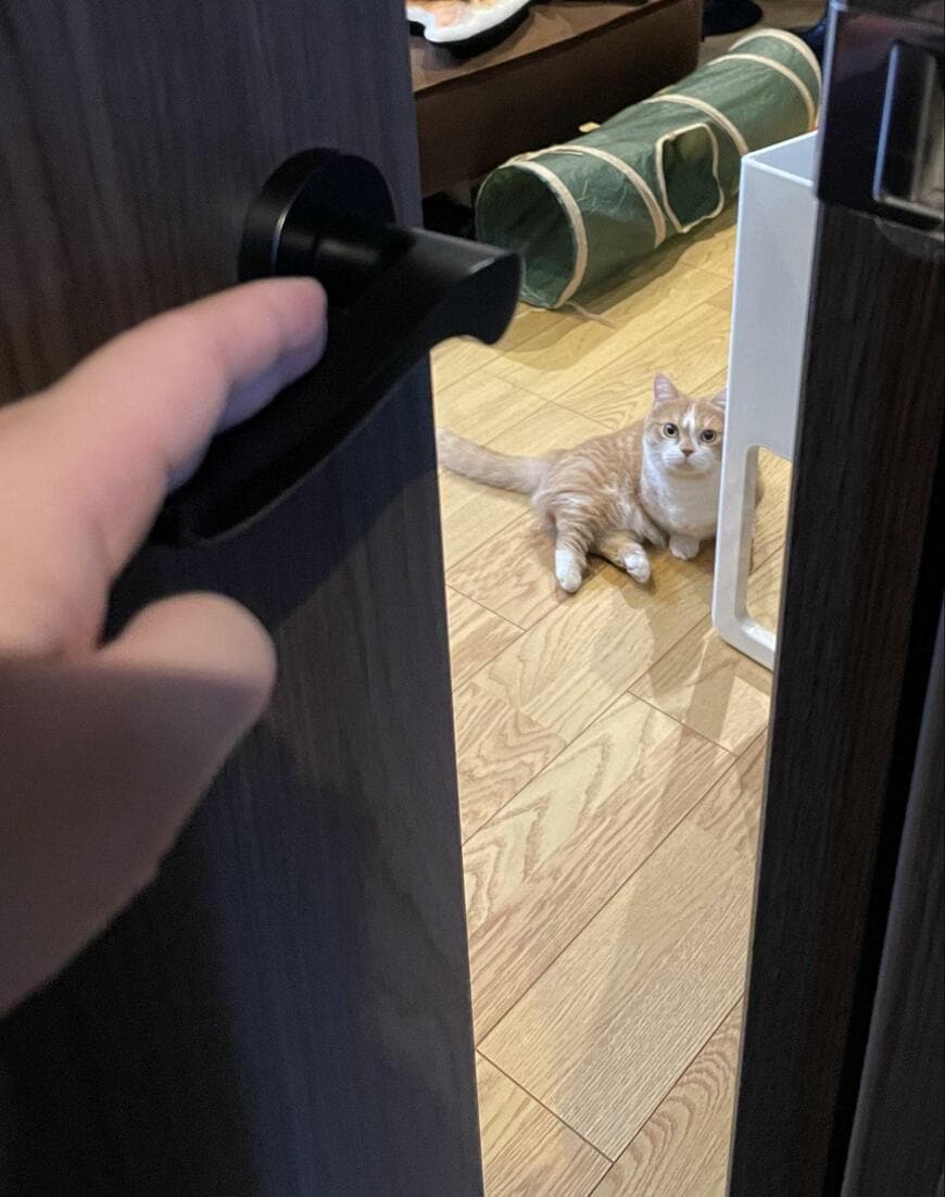 出所：@kotaro_0315