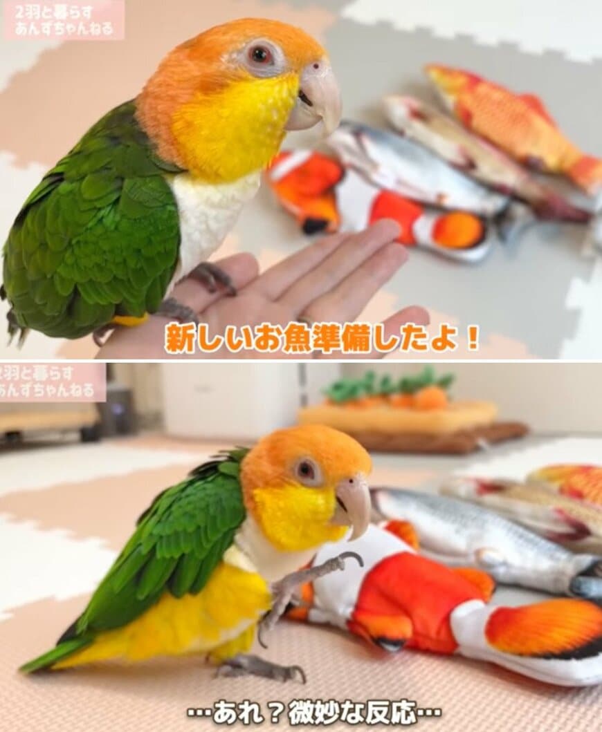 出所：@anz_omomiri