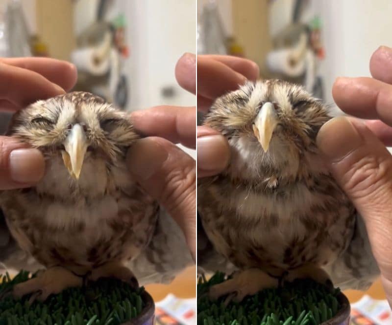 出所：@cr8673.hiro