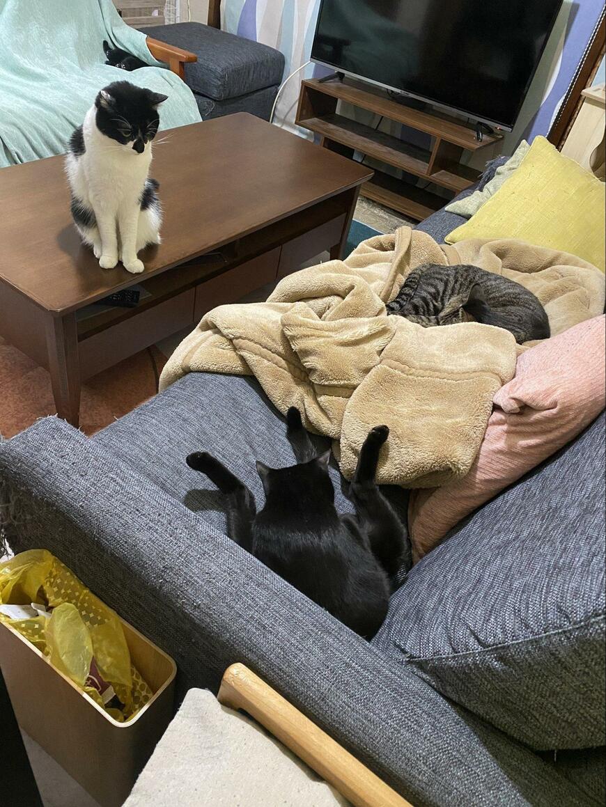 出所：@00shitemita