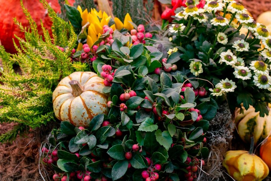 Goroda/istockphoto.com