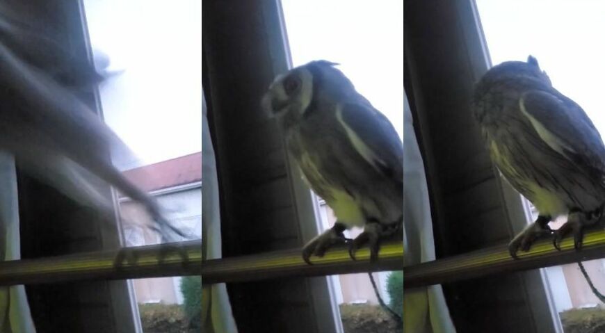 出所：@joker1999jr