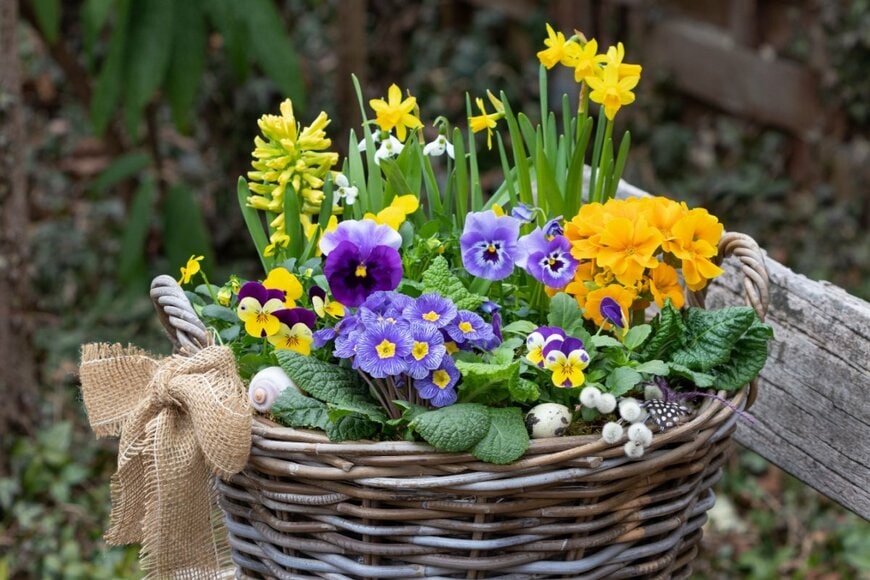 Natalia Greeske/shutterstock.com