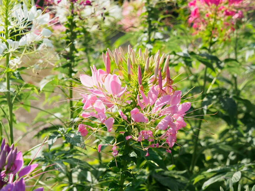 P.Ochasanond/istockphoto.com 