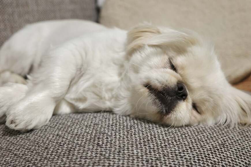 出所：@mucho_world