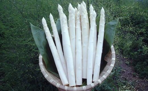 出所：ふるさとチョイス 滝本農場『カルデラの貴婦人（3L）』有機ＪＡＳ認定アスパラ