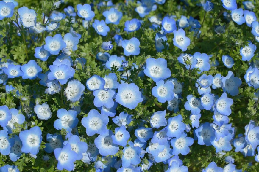 hardrocker43/shutterstock.com