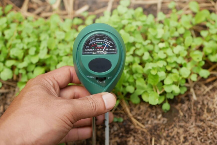 kim7/shutterstock.com