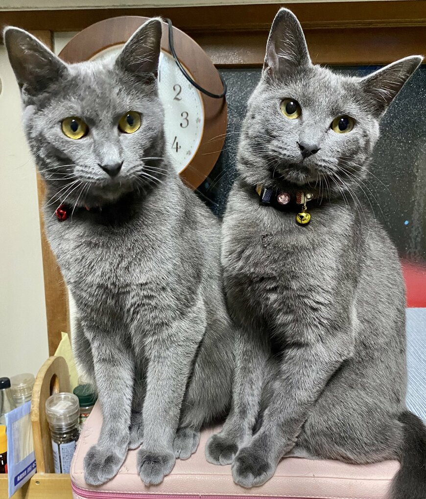 出所：@luna7taka9