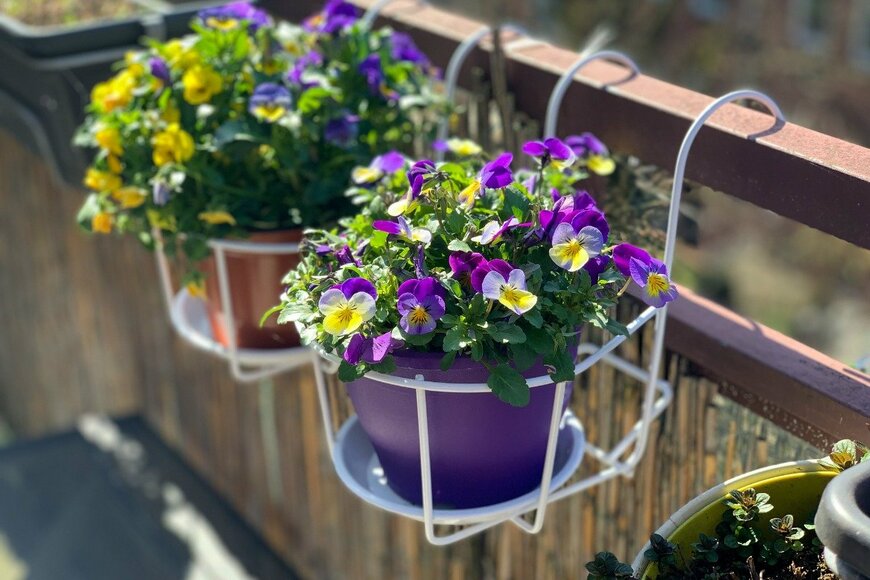 lapasmile/istockphoto.com