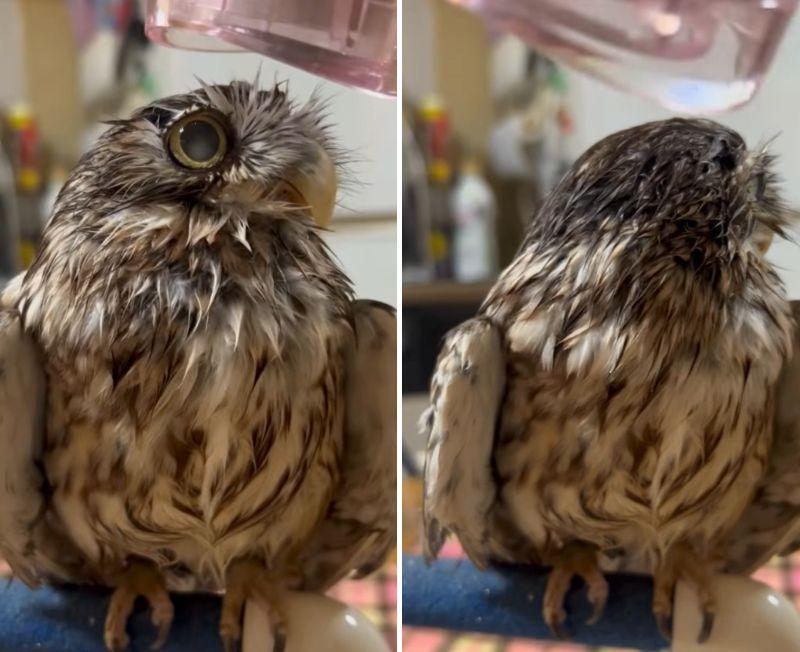 投稿動画のワンシーン