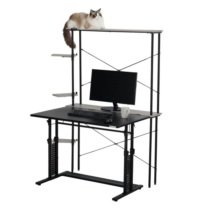 ビーズ株式会社