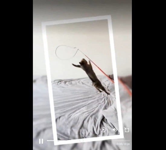 枯山水が作られていく様子