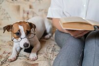 70代以上「無職世帯」と「働く世帯」貯蓄額を比較