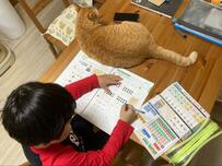 小1の男の子が覚えた「至高の息抜き」　猫への愛が伝わる行動に心が温まる…！