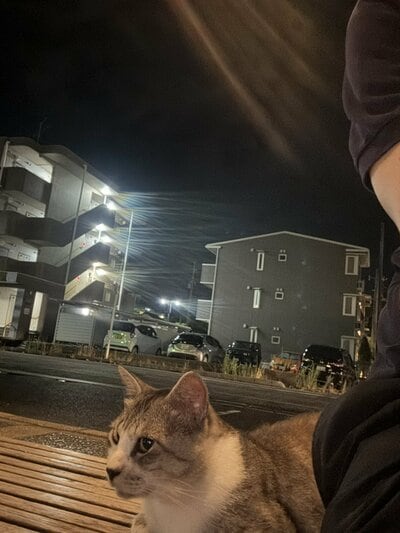 いつの間にか近づいていた