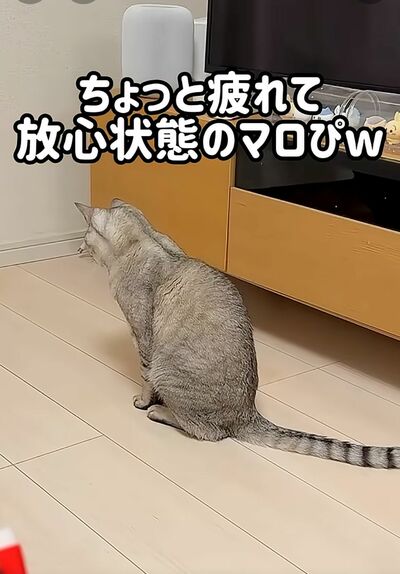投稿の画像