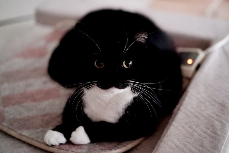 出所：@unicouniuni3