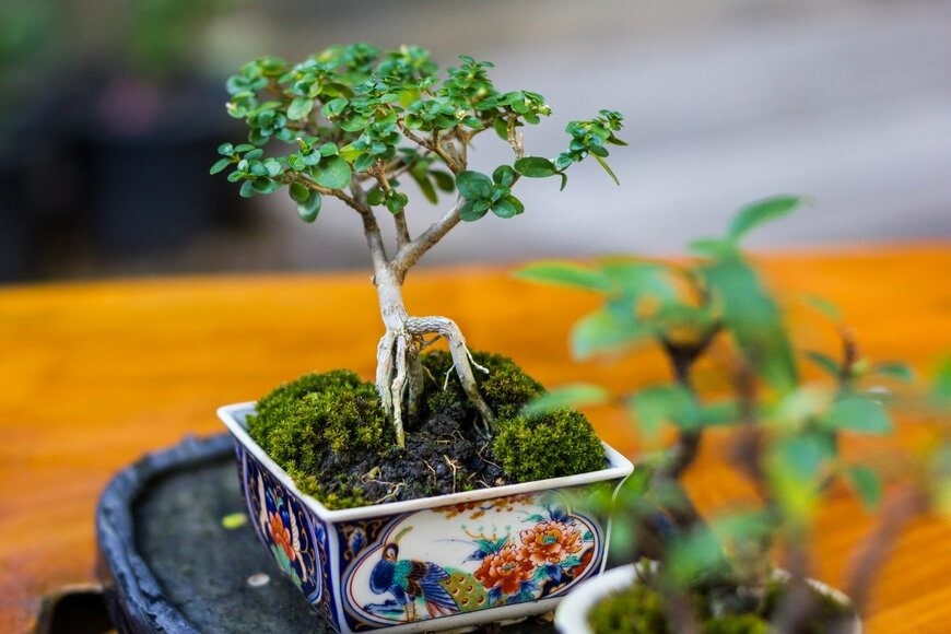 patpong panpat/istockphoto.com