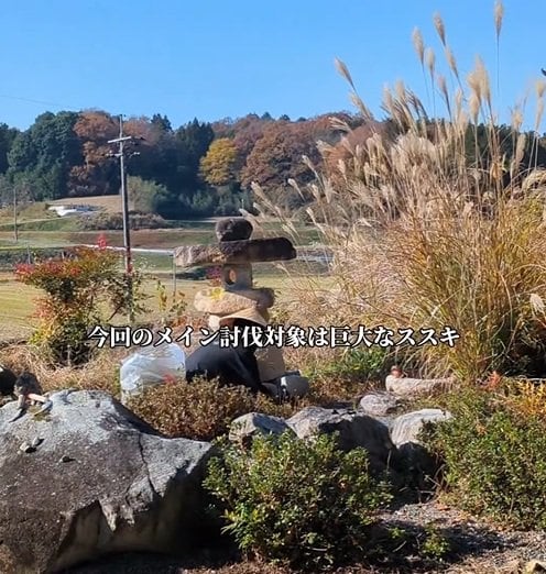 「いつかうちもお願いしたい！」視界を遮る〈巨大ススキの庭〉→スッキリ見渡せる〈スッキリ空間〉に大変身！