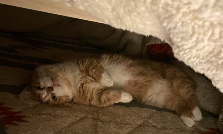 出所：@kotaro_0315