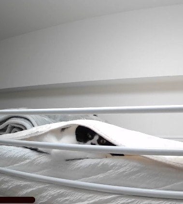 出所：@saburou214