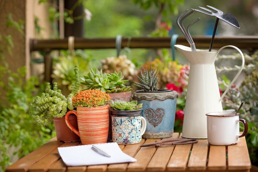 Isa Long/shutterstock.com